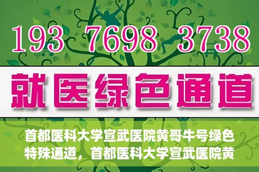 首都医科大学宣武医院黄哥牛号绿色特殊通道，首都医科大学宣武医院黄哥牛号，绿色特殊通道开启健康之门
