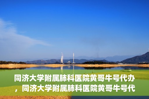 同济大学附属肺科医院黄哥牛号代办，同济大学附属肺科医院黄哥牛号代办，专业信赖，健康无忧