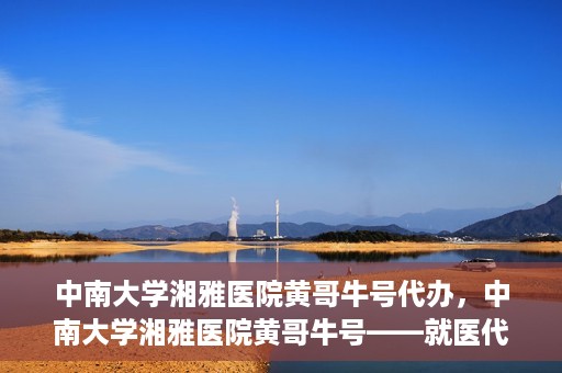 中南大学湘雅医院黄哥牛号代办，中南大学湘雅医院黄哥牛号——就医代办服务详解