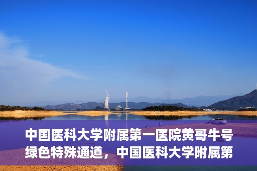 中国医科大学附属第一医院黄哥牛号绿色特殊通道，中国医科大学附属第一医院黄哥牛号，绿色特殊通道的开启与探索