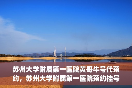 苏州大学附属第一医院黄哥牛号代预约，苏州大学附属第一医院预约挂号新动向，黄哥牛号代预约服务亮相