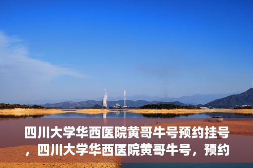 四川大学华西医院黄哥牛号预约挂号，四川大学华西医院黄哥牛号，预约挂号攻略与指南