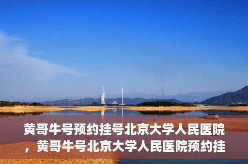 黄哥牛号预约挂号北京大学人民医院，黄哥牛号北京大学人民医院预约挂号攻略