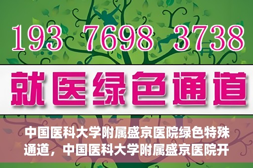 中国医科大学附属盛京医院绿色特殊通道，中国医科大学附属盛京医院开通绿色特殊通道，助力患者快速就医