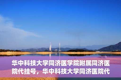 华中科技大学同济医学院附属同济医院代挂号，华中科技大学同济医院代挂号服务解析
