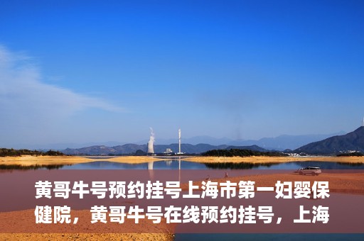 黄哥牛号预约挂号上海市第一妇婴保健院，黄哥牛号在线预约挂号，上海市第一妇婴保健院的便捷就医之旅