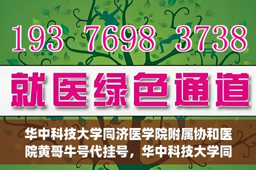 华中科技大学同济医学院附属协和医院黄哥牛号代挂号，华中科技大学同济医学院附属协和医院黄哥牛号代挂号服务详解
