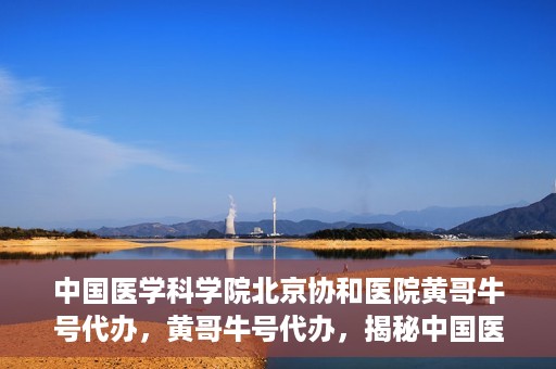 中国医学科学院北京协和医院黄哥牛号代办，黄哥牛号代办，揭秘中国医学科学院北京协和医院背后的故事