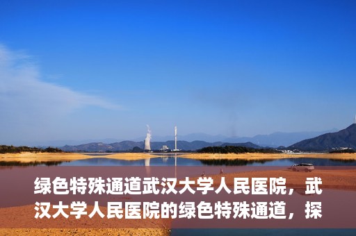 绿色特殊通道武汉大学人民医院，武汉大学人民医院的绿色特殊通道，探索与实践