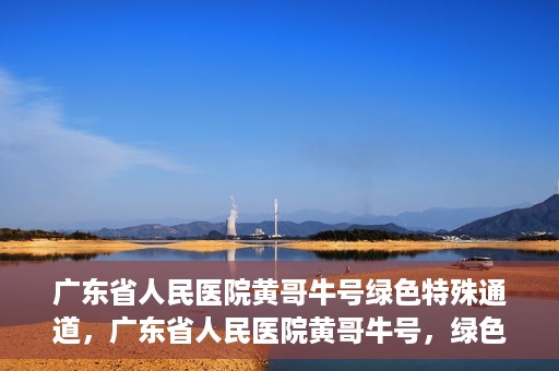 广东省人民医院黄哥牛号绿色特殊通道，广东省人民医院黄哥牛号，绿色特殊通道开启健康之门