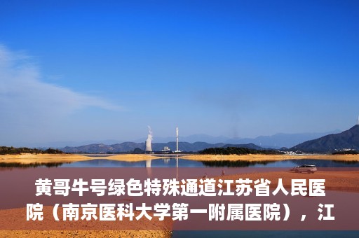黄哥牛号绿色特殊通道江苏省人民医院（南京医科大学第一附属医院），江苏省人民医院绿色特殊通道，黄哥牛号引领健康新风尚