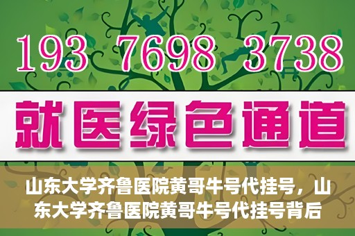 山东大学齐鲁医院黄哥牛号代挂号，山东大学齐鲁医院黄哥牛号代挂号背后的故事与探索