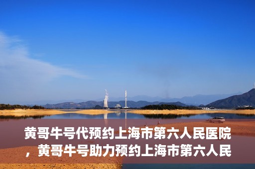 黄哥牛号代预约上海市第六人民医院，黄哥牛号助力预约上海市第六人民医院服务