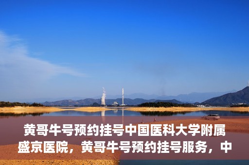 黄哥牛号预约挂号中国医科大学附属盛京医院，黄哥牛号预约挂号服务，中国医科大学附属盛京医院便捷就医新体验