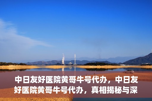 中日友好医院黄哥牛号代办，中日友好医院黄哥牛号代办，真相揭秘与深度解析
