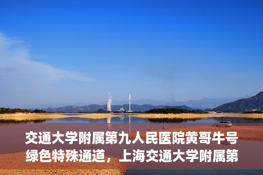 交通大学附属第九人民医院黄哥牛号绿色特殊通道，上海交通大学附属第九人民医院黄哥牛号，绿色特殊通道开启健康之门