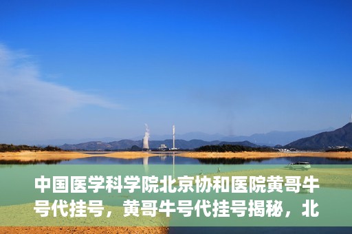 中国医学科学院北京协和医院黄哥牛号代挂号，黄哥牛号代挂号揭秘，北京协和医院挂号背后的故事