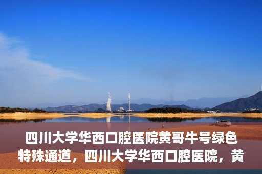 四川大学华西口腔医院黄哥牛号绿色特殊通道，四川大学华西口腔医院，黄哥牛号绿色特殊通道揭秘