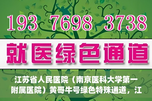 江苏省人民医院（南京医科大学第一附属医院）黄哥牛号绿色特殊通道，江苏省人民医院绿色特殊通道，黄哥牛号的医疗速度与温情服务