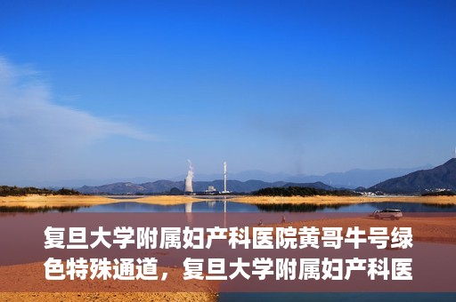 复旦大学附属妇产科医院黄哥牛号绿色特殊通道，复旦大学附属妇产科医院黄哥牛号，绿色特殊通道开启健康之门