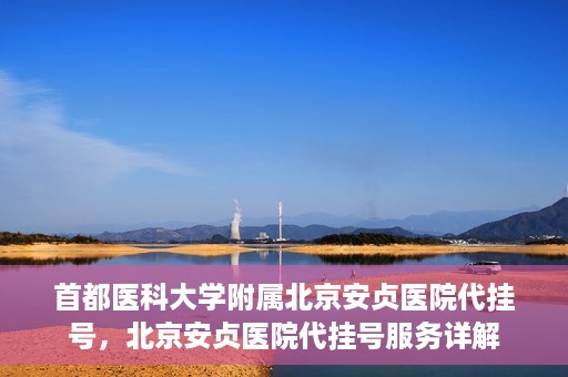 首都医科大学附属北京安贞医院代挂号，北京安贞医院代挂号服务详解