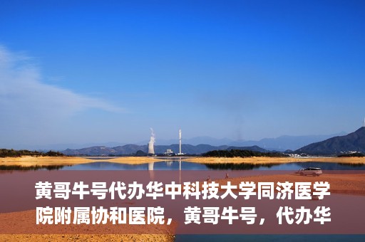 黄哥牛号代办华中科技大学同济医学院附属协和医院，黄哥牛号，代办华中科技大学同济医学院附属协和医院业务办理全攻略