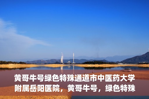 黄哥牛号绿色特殊通道市中医药大学附属岳阳医院，黄哥牛号，绿色特殊通道助力中医药大学附属岳阳医院健康前行