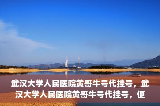 武汉大学人民医院黄哥牛号代挂号，武汉大学人民医院黄哥牛号代挂号，便捷就医背后的故事