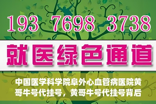 中国医学科学院阜外心血管病医院黄哥牛号代挂号，黄哥牛号代挂号背后的故事，阜外心血管病医院的探索与挑战