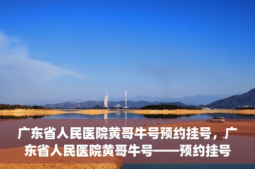 广东省人民医院黄哥牛号预约挂号，广东省人民医院黄哥牛号——预约挂号攻略