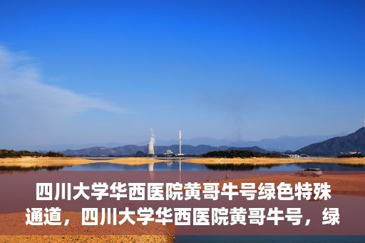 四川大学华西医院黄哥牛号绿色特殊通道，四川大学华西医院黄哥牛号，绿色特殊通道开启生命之门