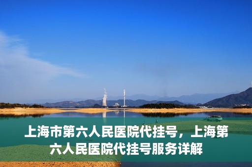 上海市第六人民医院代挂号，上海第六人民医院代挂号服务详解
