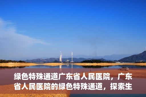 绿色特殊通道广东省人民医院，广东省人民医院的绿色特殊通道，探索生命的新路径