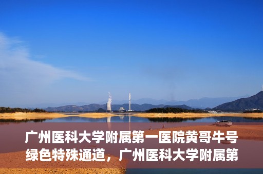 广州医科大学附属第一医院黄哥牛号绿色特殊通道，广州医科大学附属第一医院黄哥牛号，绿色特殊通道开启健康之门