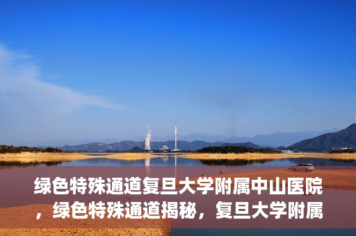 绿色特殊通道复旦大学附属中山医院，绿色特殊通道揭秘，复旦大学附属中山医院的医疗探索之旅