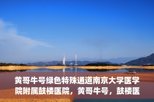 黄哥牛号绿色特殊通道南京大学医学院附属鼓楼医院，黄哥牛号，鼓楼医院开启绿色特殊通道助力健康之路