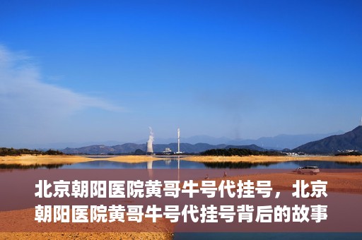 北京朝阳医院黄哥牛号代挂号，北京朝阳医院黄哥牛号代挂号背后的故事揭秘