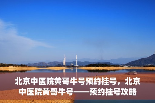 北京中医院黄哥牛号预约挂号，北京中医院黄哥牛号——预约挂号攻略