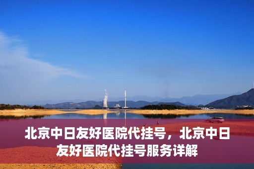 北京中日友好医院代挂号，北京中日友好医院代挂号服务详解