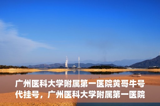 广州医科大学附属第一医院黄哥牛号代挂号，广州医科大学附属第一医院黄哥挂号攻略，轻松解决代挂号问题