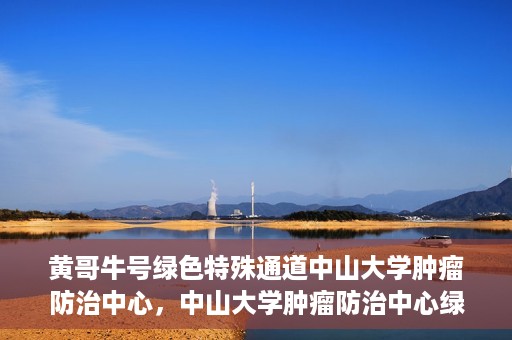 黄哥牛号绿色特殊通道中山大学肿瘤防治中心，中山大学肿瘤防治中心绿色特殊通道，黄哥牛号引领健康新航向