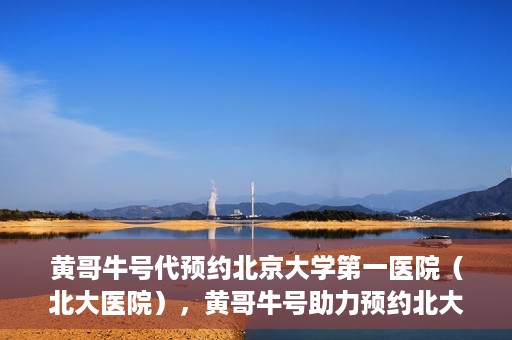 黄哥牛号代预约北京大学第一医院（北大医院），黄哥牛号助力预约北大医院——北京大学第一医院权威预约服务开启
