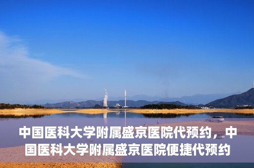 中国医科大学附属盛京医院代预约，中国医科大学附属盛京医院便捷代预约服务解析