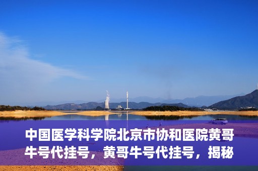 中国医学科学院北京市协和医院黄哥牛号代挂号，黄哥牛号代挂号，揭秘中国医学科学院北京市协和医院挂号背后的故事