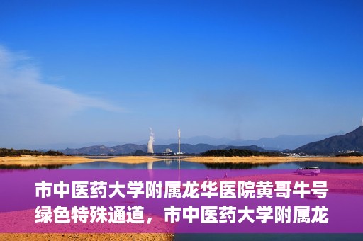 市中医药大学附属龙华医院黄哥牛号绿色特殊通道，市中医药大学附属龙华医院黄哥牛号，绿色特殊通道，健康为民服务