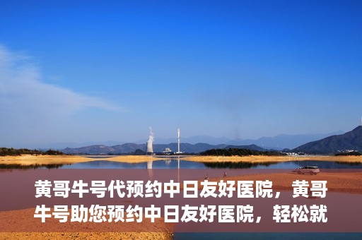 黄哥牛号代预约中日友好医院，黄哥牛号助您预约中日友好医院，轻松就医新体验