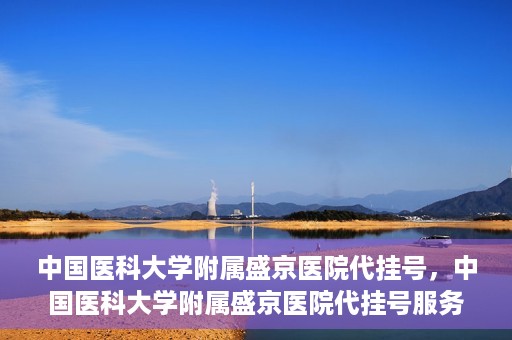中国医科大学附属盛京医院代挂号，中国医科大学附属盛京医院代挂号服务详解