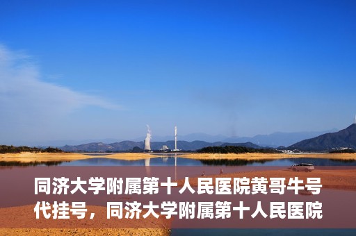 同济大学附属第十人民医院黄哥牛号代挂号，同济大学附属第十人民医院黄哥牛号助您轻松挂号就医