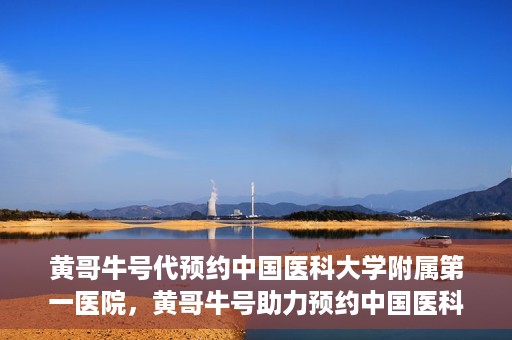 黄哥牛号代预约中国医科大学附属第一医院，黄哥牛号助力预约中国医科大学附属第一医院专家号