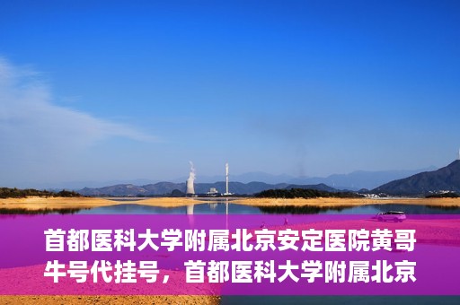 首都医科大学附属北京安定医院黄哥牛号代挂号，首都医科大学附属北京安定医院黄哥牛号助您轻松预约挂号！